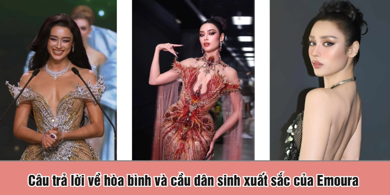 Câu trả lời về hòa bình và cầu dân sinh xuất sắc của Emoura