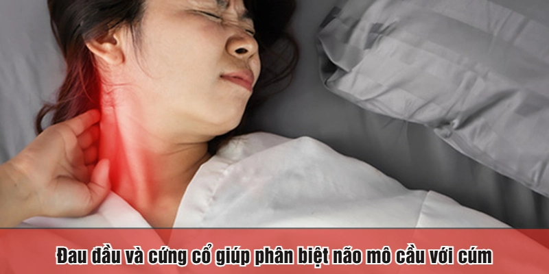 Đau đầu và cứng cổ giúp phân biệt não mô cầu với cúm