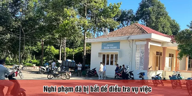 Nghi phạm đã bị bắt để điều tra vụ việc