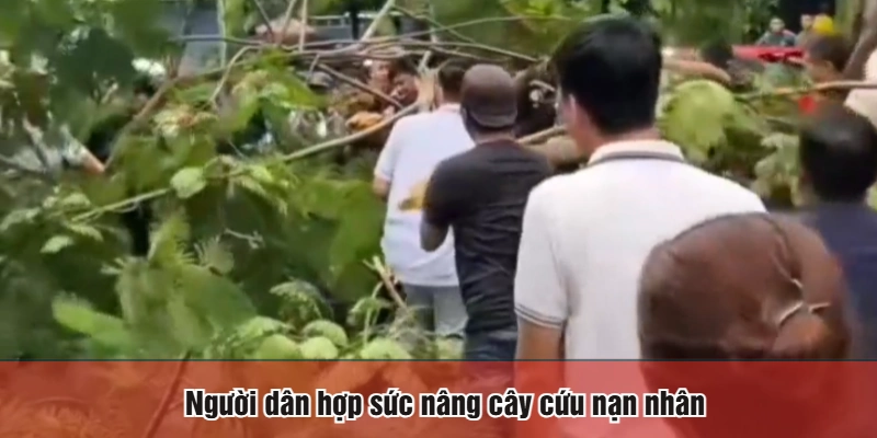 Người dân hợp sức nâng cây cứu nạn nhân