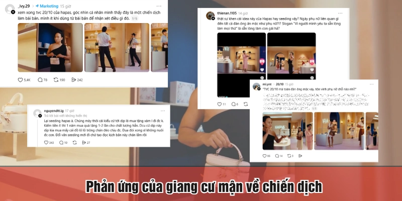 Phản ứng của giang cư mận về chiến dịch