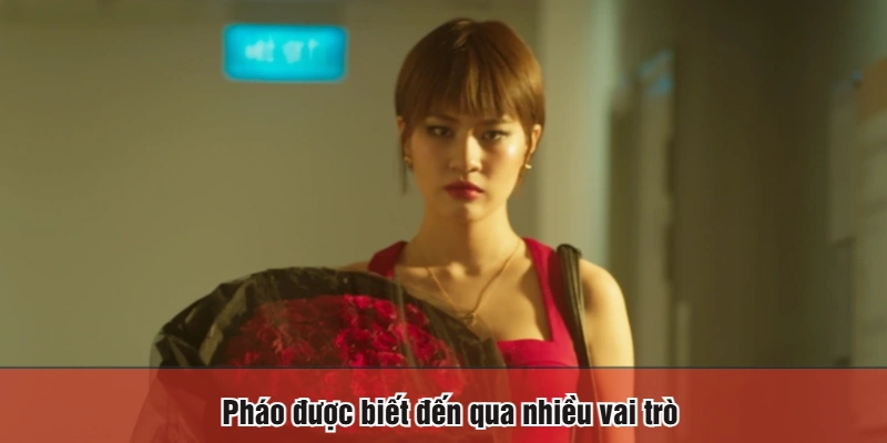 Pháo được biết đến qua nhiều vai trò
