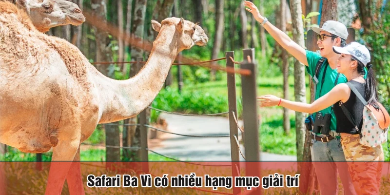 Safari Ba Vì có nhiều hạng mục giải trí