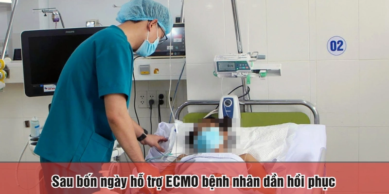 Sau bốn ngày hỗ trợ ECMO bệnh nhân dần hồi phục